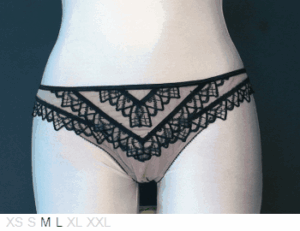 Elle MacPherson Dual layer sheer and lace bikini