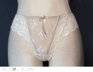 Elle MacPherson Sheer and lace thong