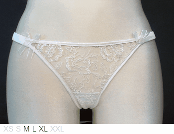 Ellipse Sheer and lace satin thong