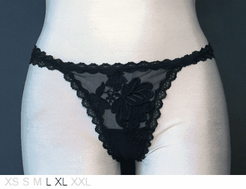 Ellipse Sheer thong with embroidery