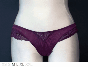 Ellipse Sheer and lace thong