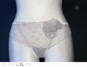 Ellipse Sheer and lace Brazilian w/embroidery
