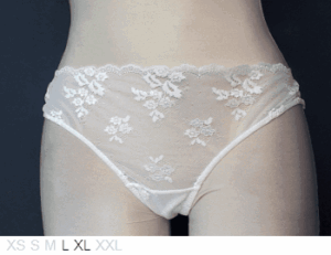 Ellipse Sheer and lace bikini with open back