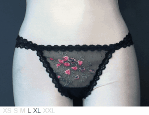 Ellipse Dual-string ebmroidered sheer thong