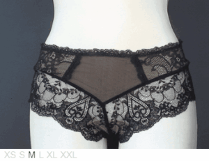 Eprise by Lise Charmel Ecrin Dentelle lace hipster
