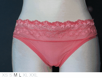 Evollove Star Gazer sheer mini brief