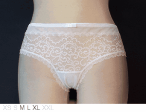 Evollove Ece Queen sheer and lace hipster