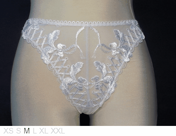 Antinea Sheer and lace thong