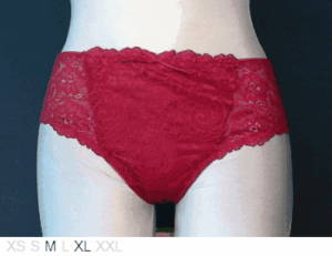Fayreform Gorgeous lace and poly bikini