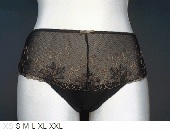 Fit Fully Yours Sheer and lace brief