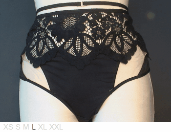 For Love and Lemons Highwaist poly and lace brief