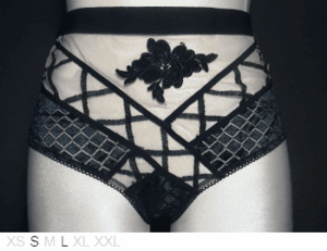 For Love and Lemons High waist brief