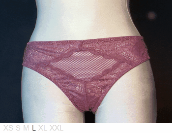 French Affair Sheer and lace Italian bikini