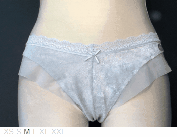 Gap Body Velvet and sheer tanga