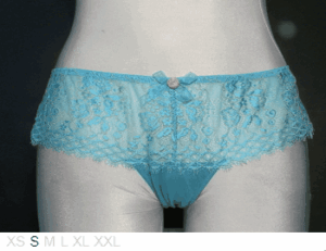 Harlequin Lingerie Lace and sheer knicker