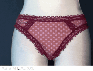 Janine Robin Princesse sheer and lace thong