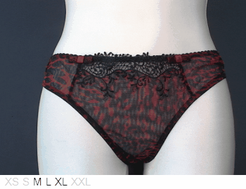 Janine Robin Cherie Dual-layer sheer bikini