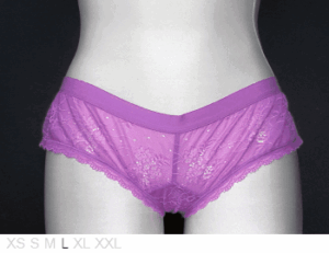 Joes Pure lace low riser bikini