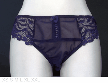 Jolie Sheer and lace