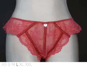 Karen Millen Ava knicker