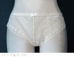 Kensie Sheer and lace shorty
