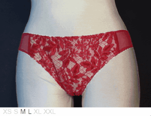 Les Jupons de Tess Dentelle Leaver's lace culotte