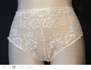 LOU Sheer and lace brief