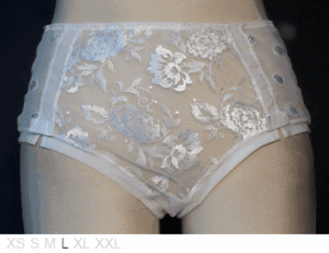 LOU Sheer and lace shorty