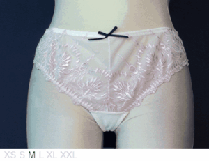 La Vie en Rose Sheer & Lace boy tanga