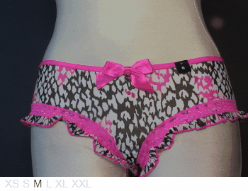 La Senza Sheer and lace hipster with lace trim