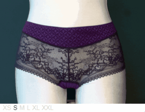 Lejaby Poly and lace French shorty