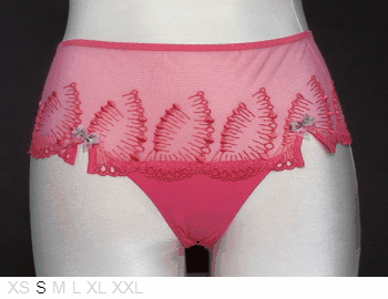 Lejaby NWOT Sheer and lace knicker