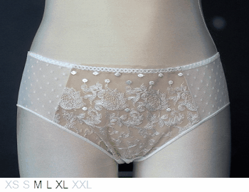 Lejaby Lycra and lace Baisers de Paris brief