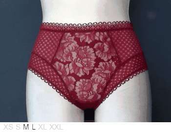 Lejaby Dot Flowers poly and lace brief