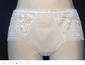 Lejaby Lycra and lace Brazilian brief
