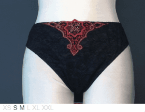 Lise Charmel Sheer and lace embroidered bikini