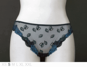 Lise Charmel Sheer and lace front, poly bikini