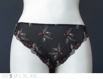 Lise Charmel Sheer and lace front,poly back bikini