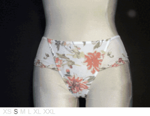 Lise Charmel Garden Folie sheer and lace hipster