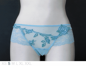 Lise Charmel Sheer and lace knicker