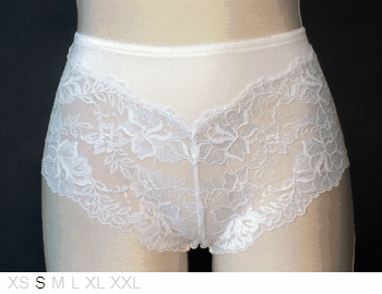 Lunaire Poly and Lace brief