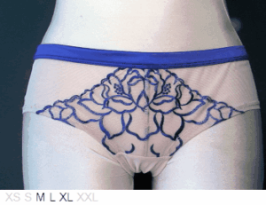 MOD by Parfait Sheer and tattooed lace hipster