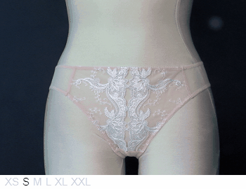 Millesia Sheer and lace bikini