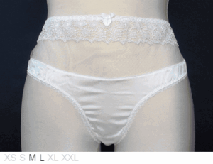 Mimi Holliday Pelican sheer, lace, and silk brief