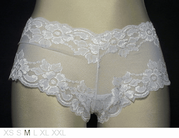 Montelle Sheer and lace shorty