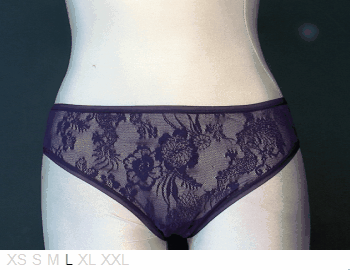 Natori Soft sheer and lace bikini