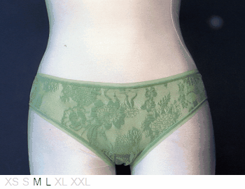 Natori Soft sheer and lace bikini