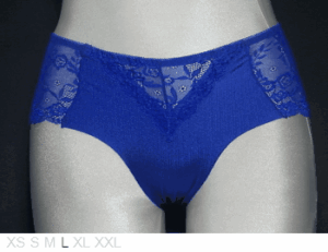 Sang Luo Sheer and lace brief