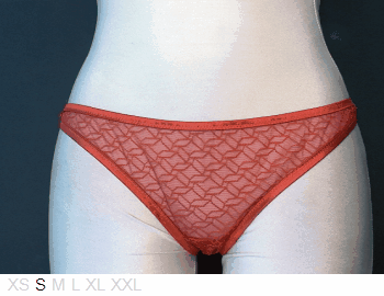 Princesse Tam Tam Sheer and lace bikini