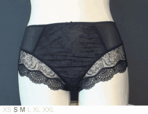 Panache Elsa sheer and lace brief